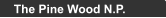 The Pine Wood N.P.