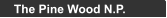 The Pine Wood N.P.