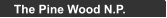 The Pine Wood N.P.